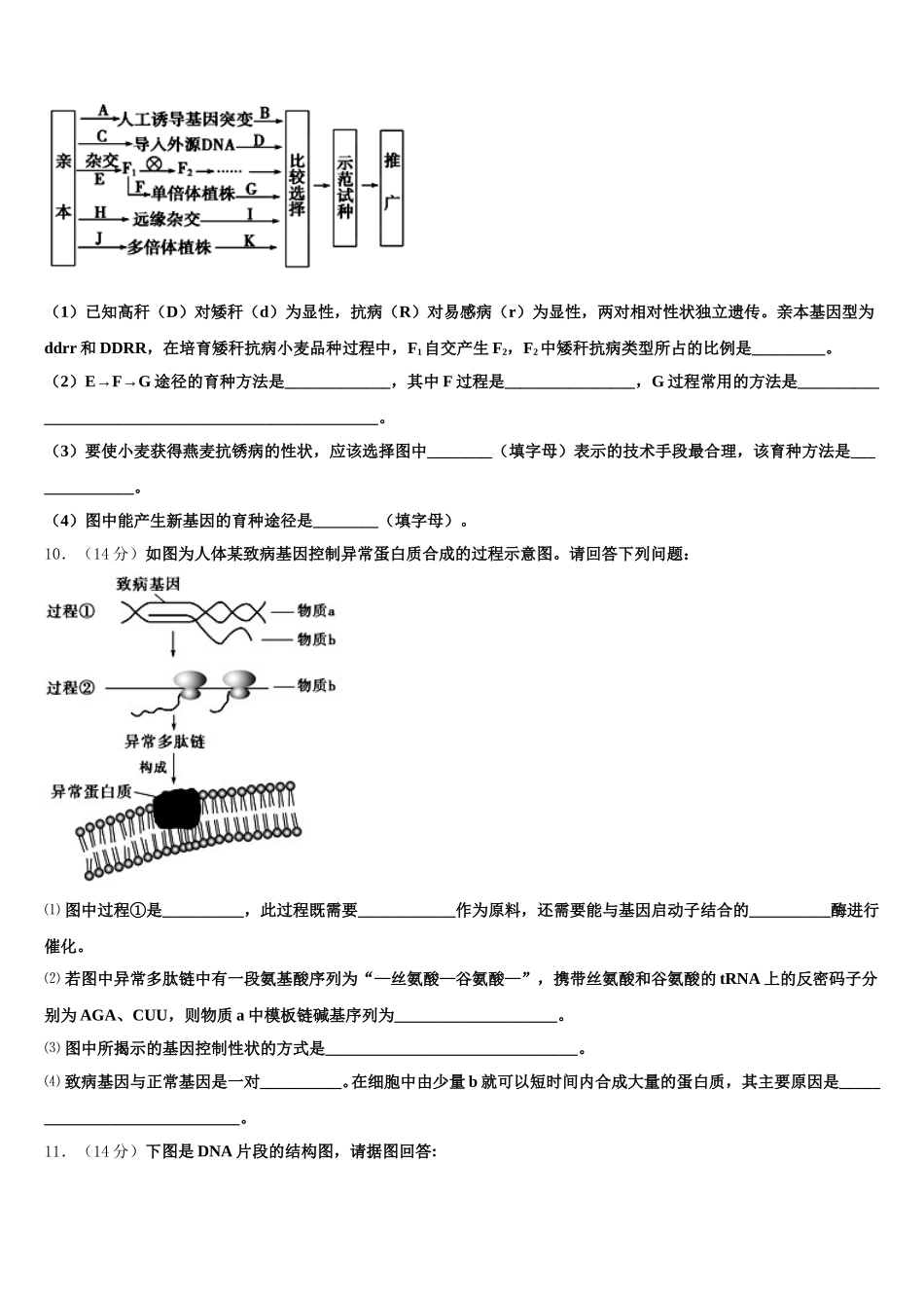 2025届河南省商丘市第一高级中学生物高一第二学期期末达标测试试题含解析_第3页
