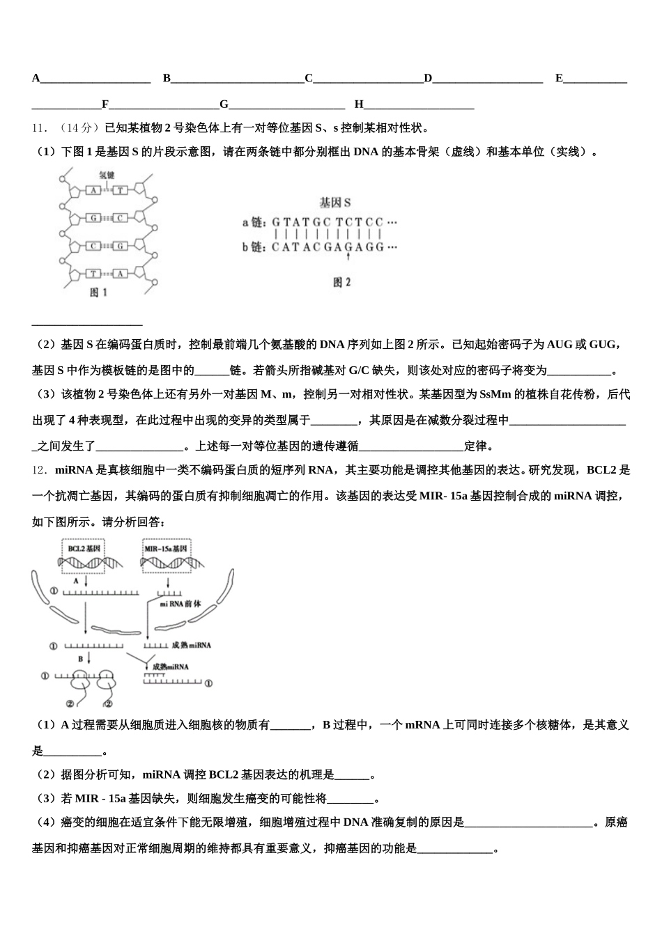 河南省郑州市重点名校2025届生物高一第二学期期末调研模拟试题含解析_第3页