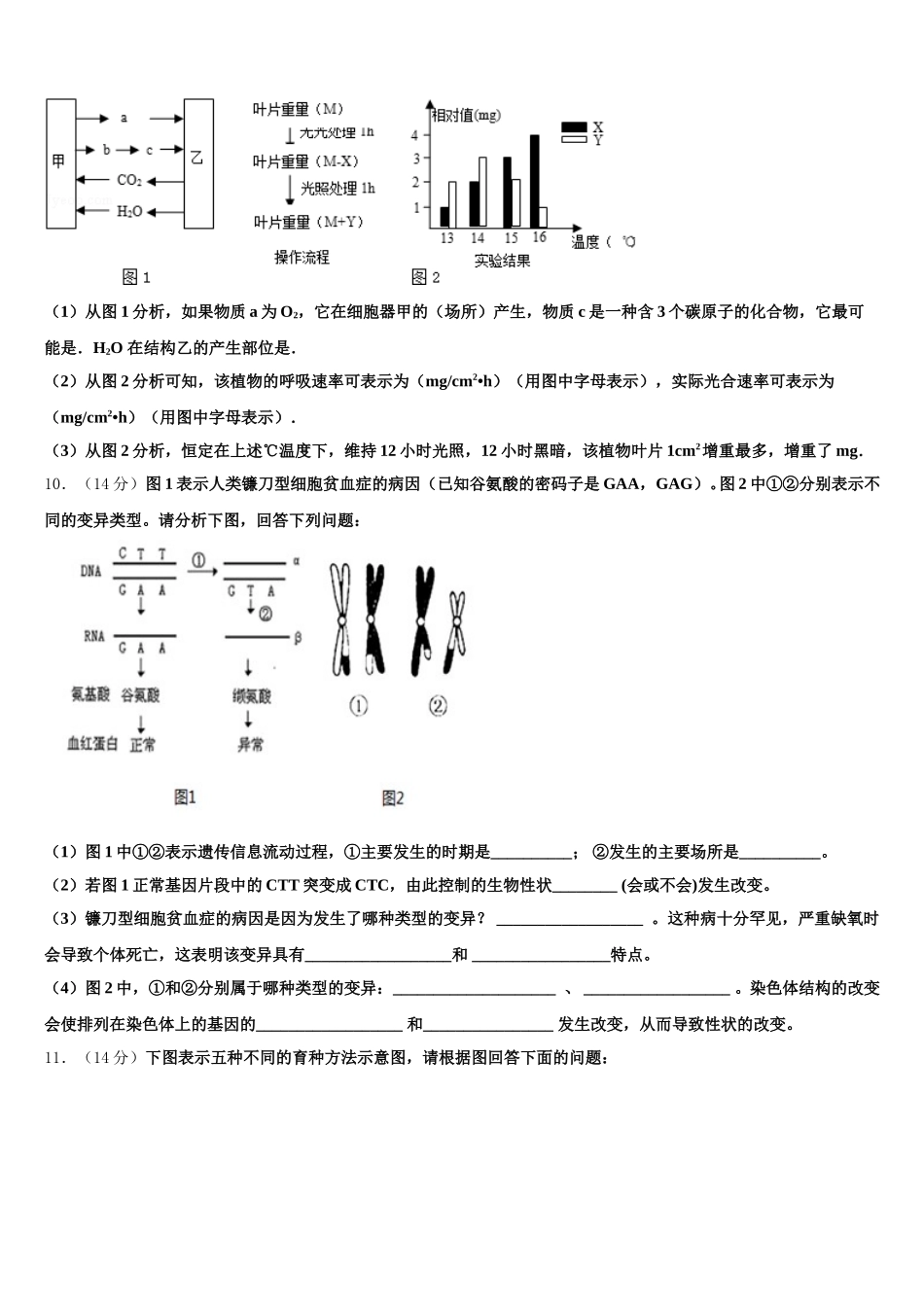 2024-2025学年河南省九师商周联盟高一下生物期末达标测试试题含解析_第3页