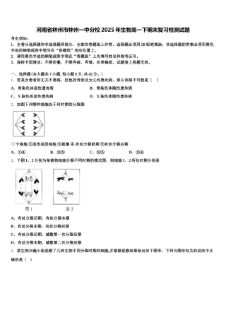 河南省林州市林州一中分校2025年生物高一下期末复习检测试题含解析