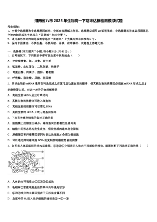 河南省八市2025年生物高一下期末达标检测模拟试题含解析