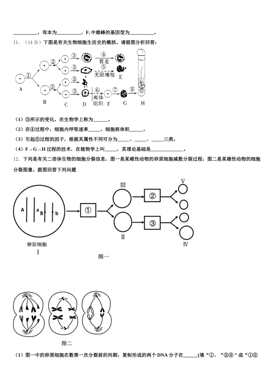 2024-2025学年河南省鹤壁一中高一生物第二学期期末学业质量监测模拟试题含解析_第3页