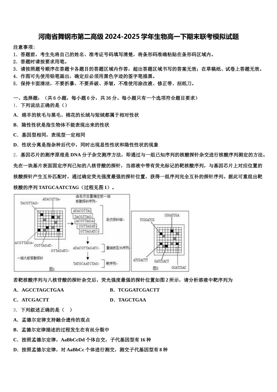 河南省舞钢市第二高级2024-2025学年生物高一下期末联考模拟试题含解析_第1页