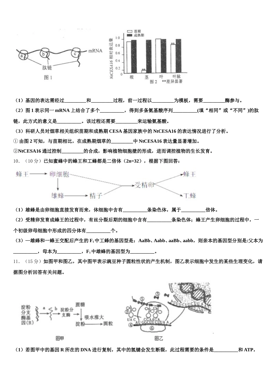河南省六市2025届高一生物第二学期期末学业水平测试试题含解析_第3页