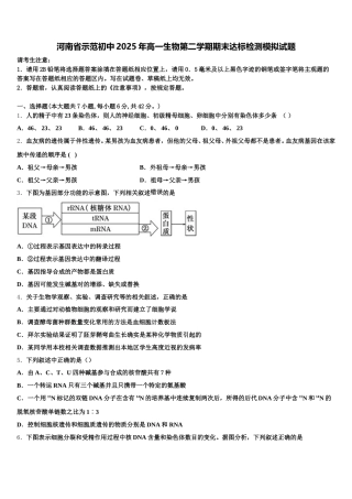 河南省示范初中2025年高一生物第二学期期末达标检测模拟试题含解析