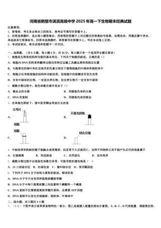 河南省鹤壁市淇滨高级中学2025年高一下生物期末经典试题含解析