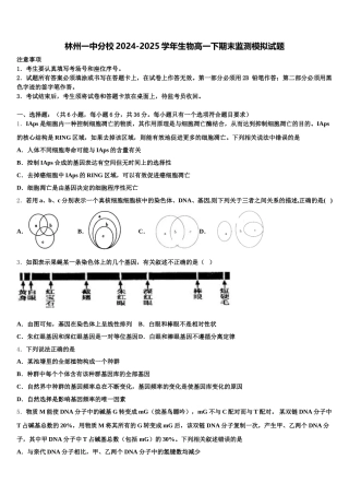 林州一中分校2024-2025学年生物高一下期末监测模拟试题含解析