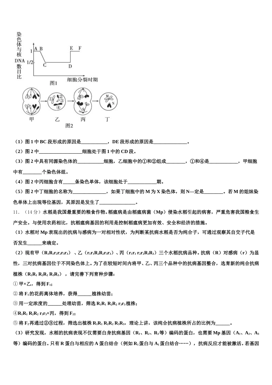 2025届河南省周口市川汇区生物高一下期末达标测试试题含解析_第3页
