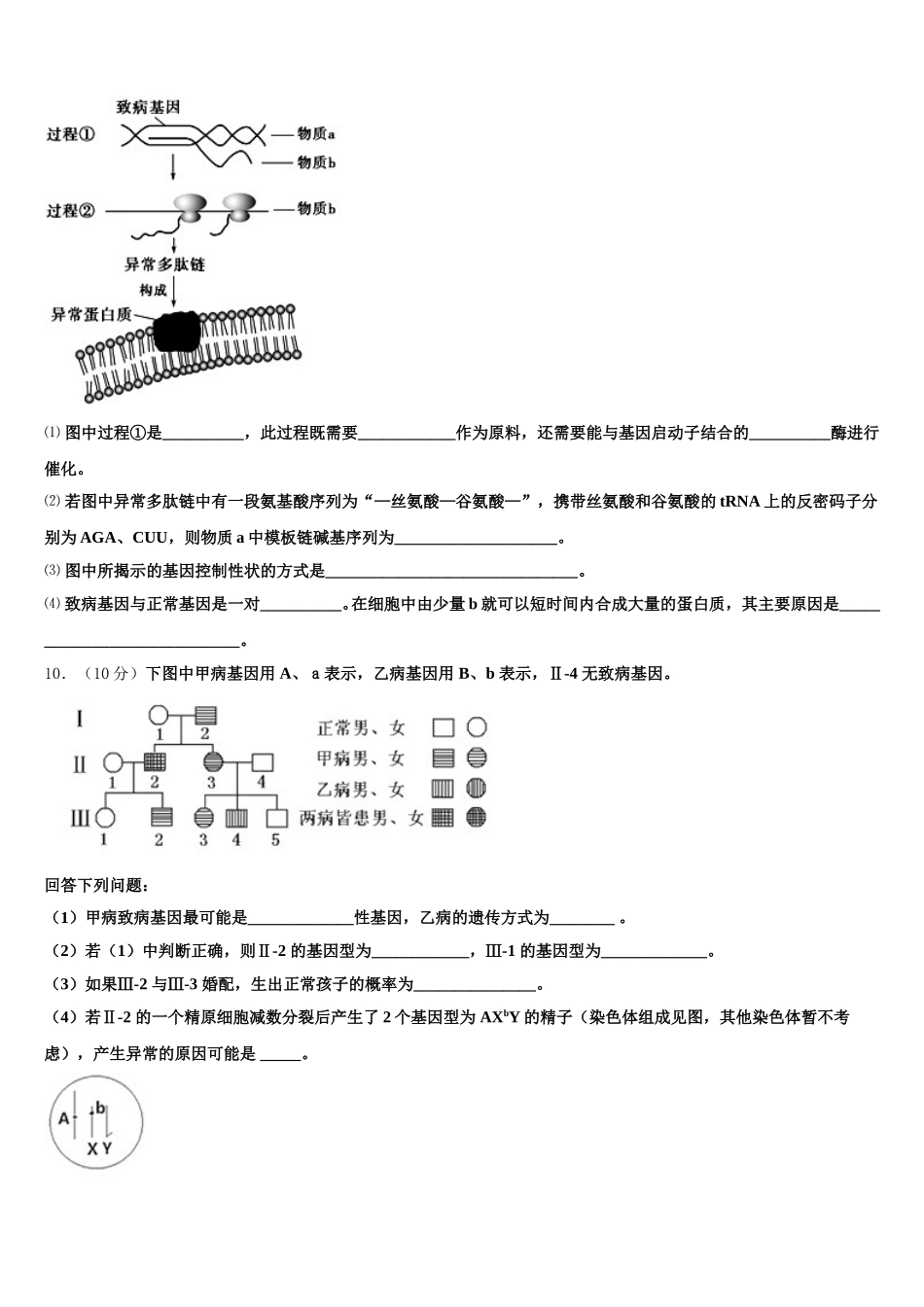 河南省豫南六市2025年高一生物第二学期期末质量检测模拟试题含解析_第3页