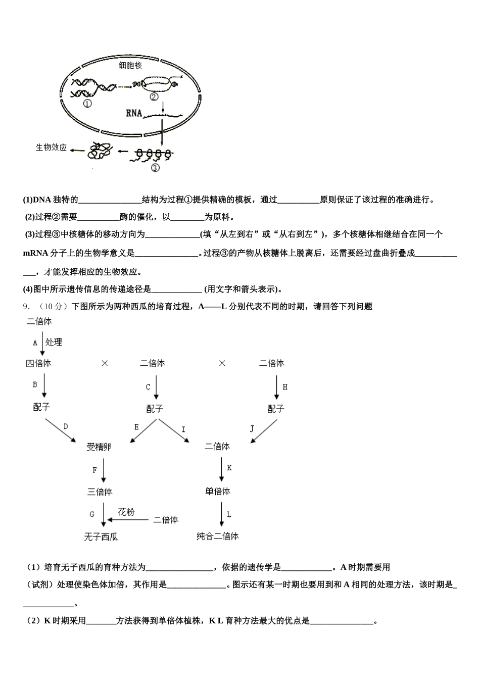 2025届河南省名校联盟生物高一第二学期期末考试试题含解析_第3页