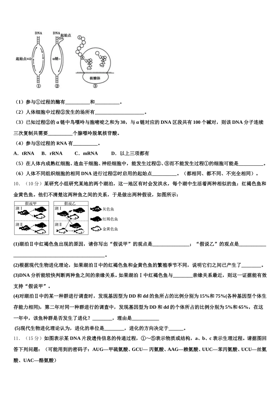 2025年河南省灵宝市实验高级中学高一生物第二学期期末综合测试试题含解析_第3页