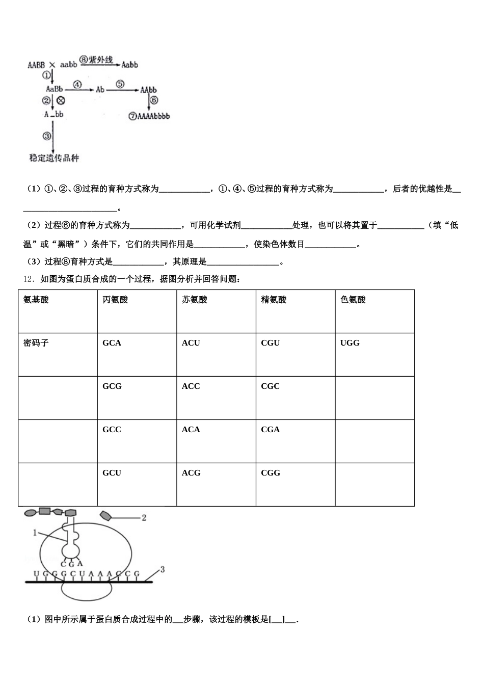 河南省叶县一高2025届生物高一下期末联考试题含解析_第3页