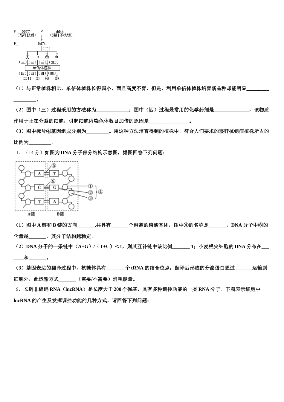 河南省开封市兰考县第三高级中学2025届高一下生物期末统考试题含解析_第3页