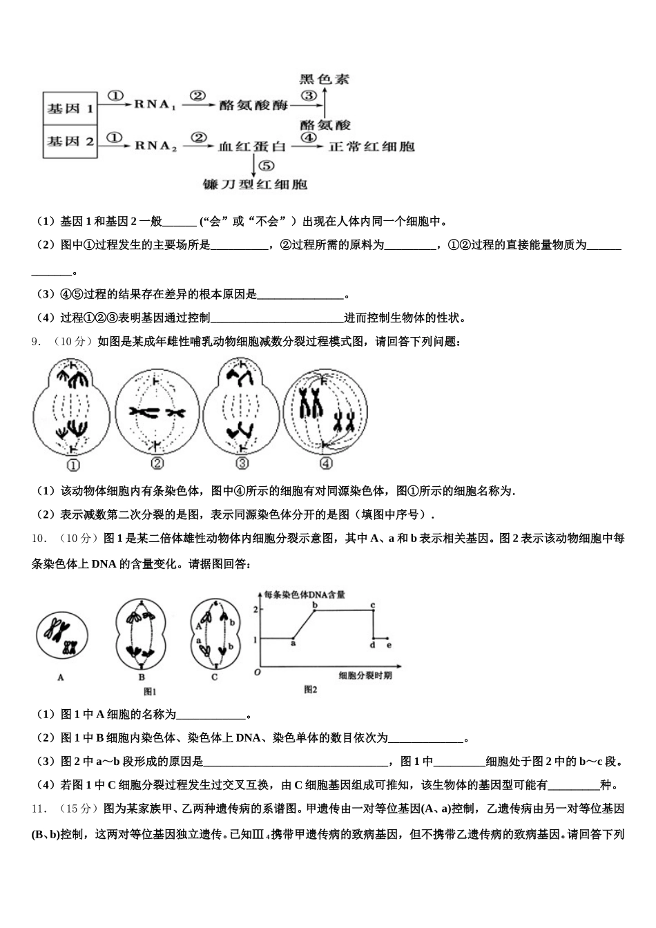 河南省太康县第一高级中学2024-2025学年高一生物第二学期期末考试模拟试题含解析_第3页