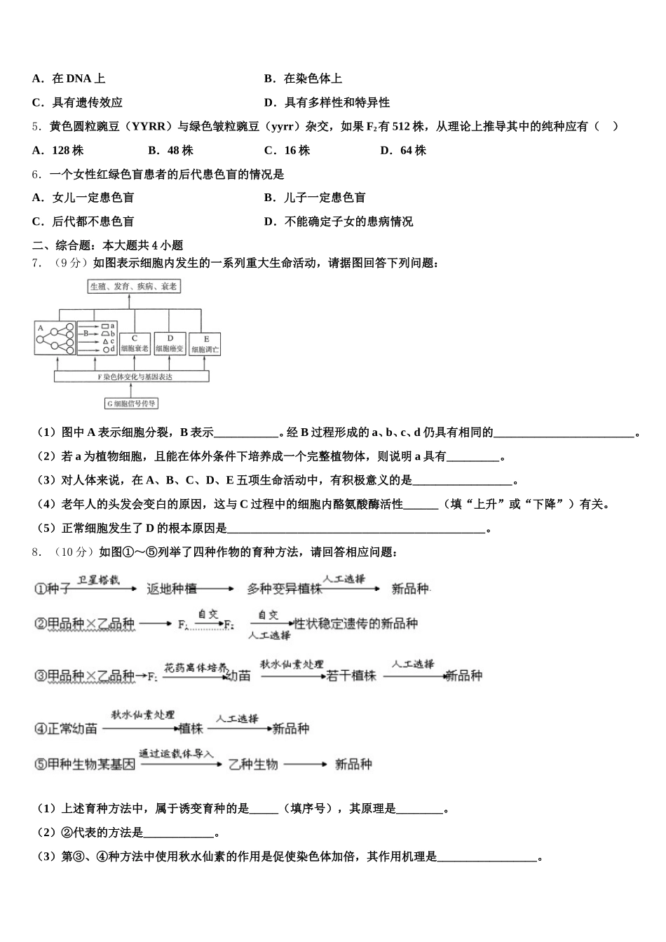 河南省名校大联考2025届高一下生物期末统考试题含解析_第2页