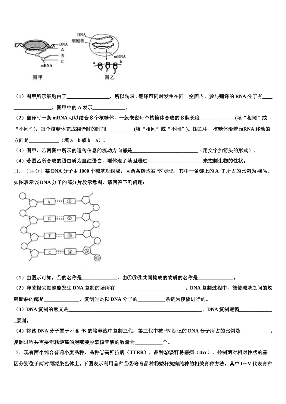 2025年河南省周口市扶沟高级中学生物高一下期末监测模拟试题含解析_第3页