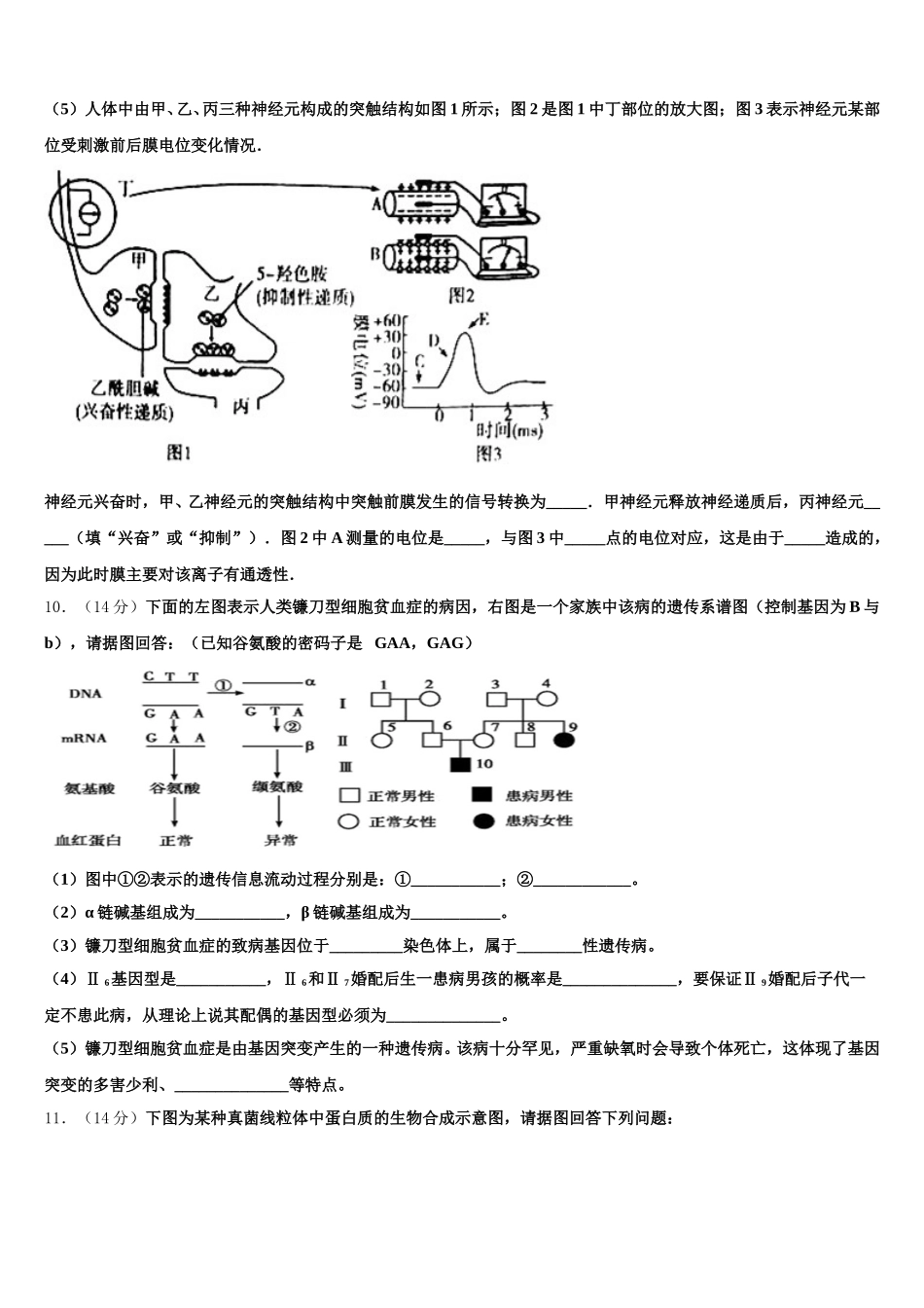 河南省焦作市2025届生物高一下期末达标检测模拟试题含解析_第3页
