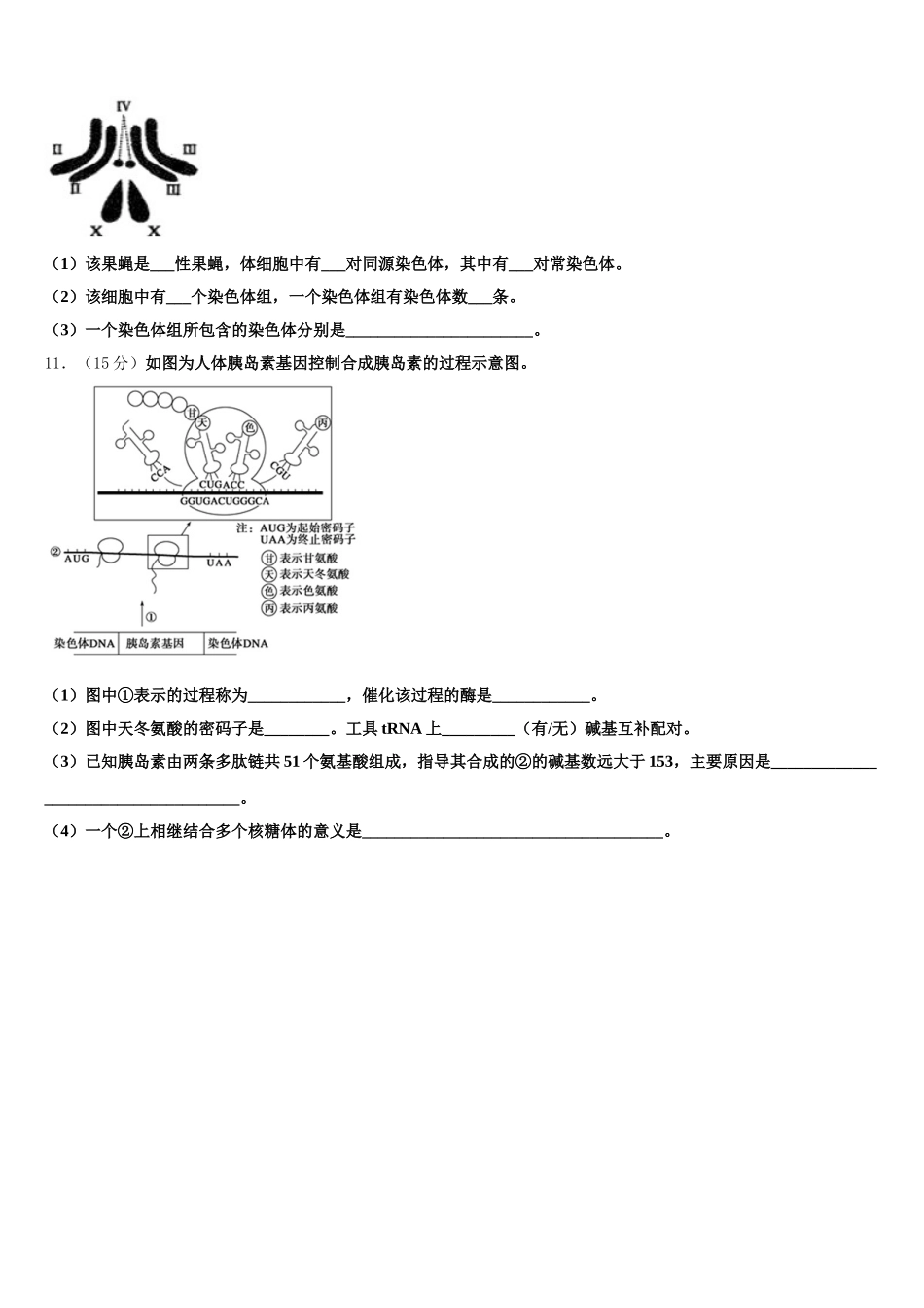 河南省驻马店市2024-2025学年高一生物第二学期期末学业水平测试模拟试题含解析_第3页