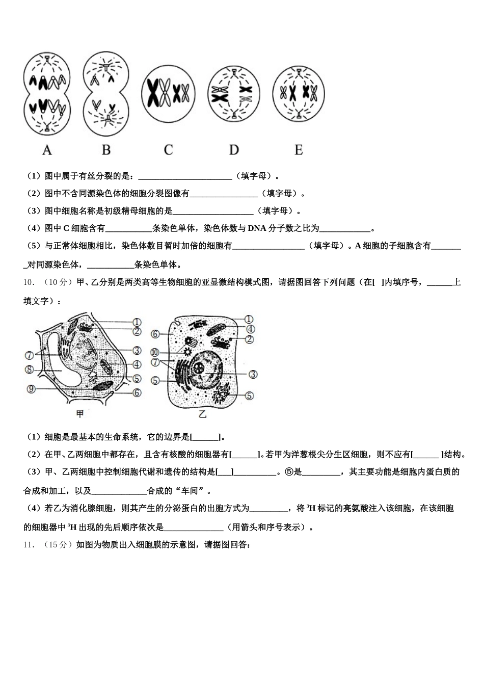 河南省安阳市林虑中学2025年生物高一第二学期期末监测模拟试题含解析_第3页