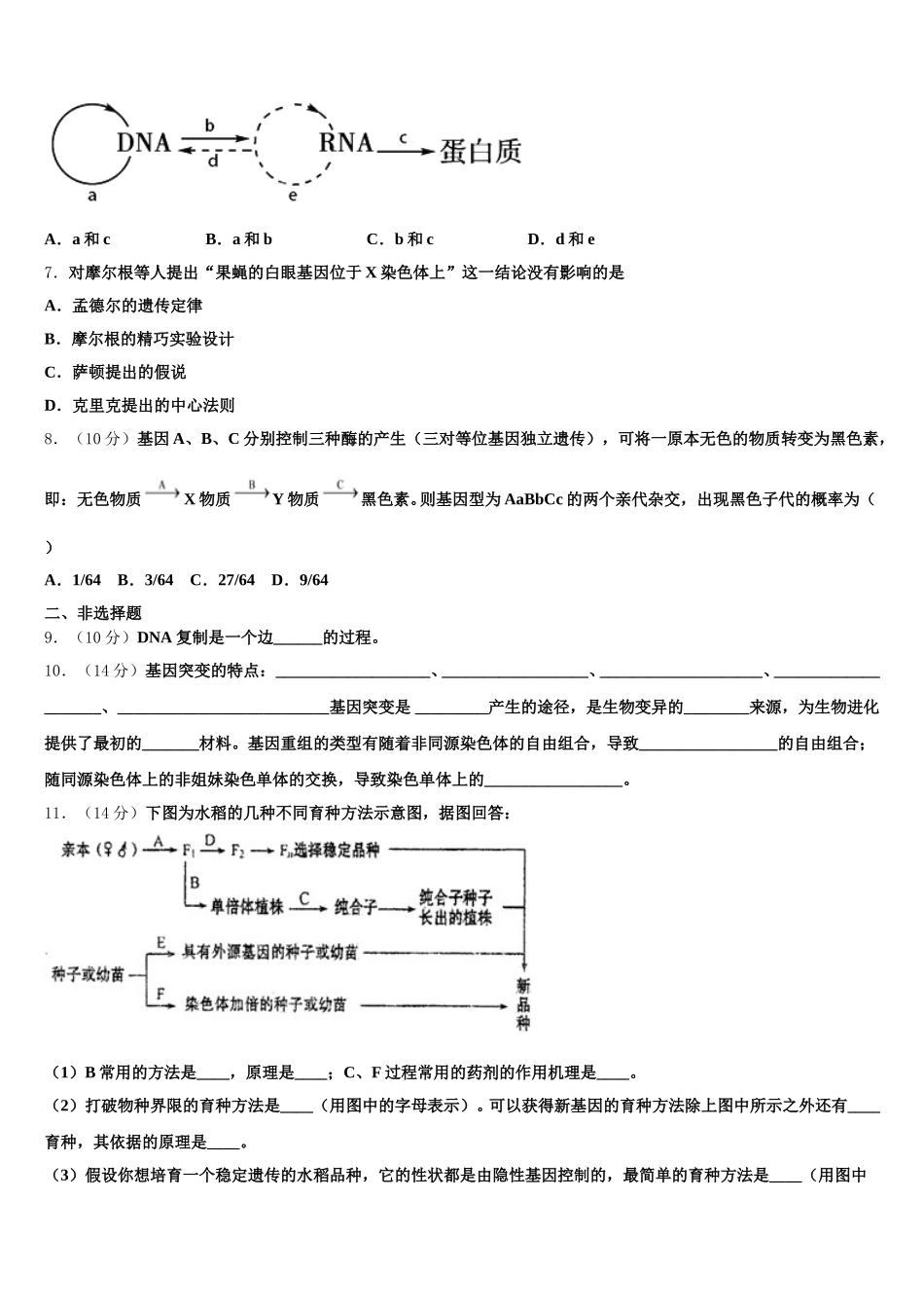 河南驻许昌市2024-2025学年高一下生物期末统考模拟试题含解析_第2页