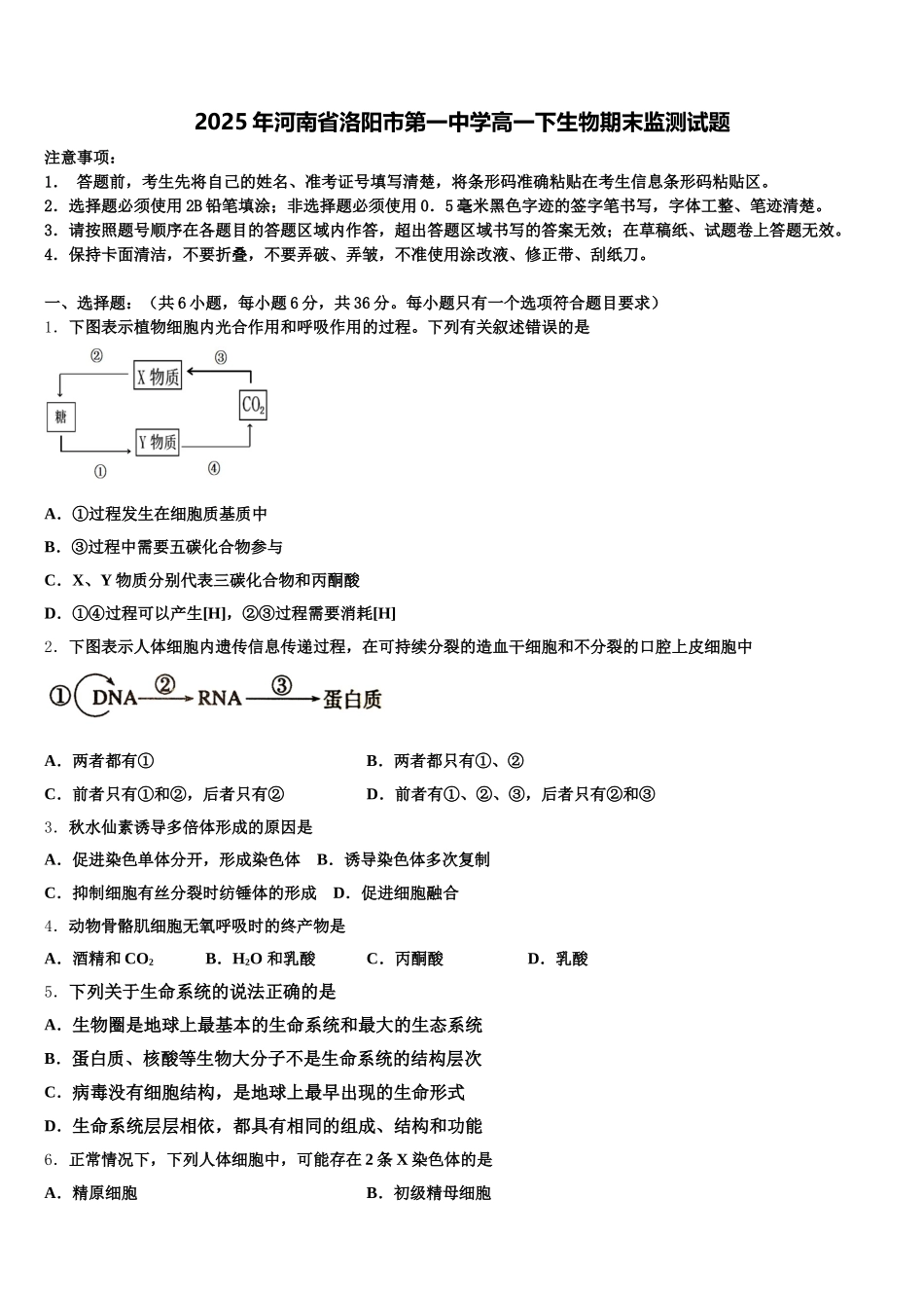 2025年河南省洛阳市第一中学高一下生物期末监测试题含解析_第1页