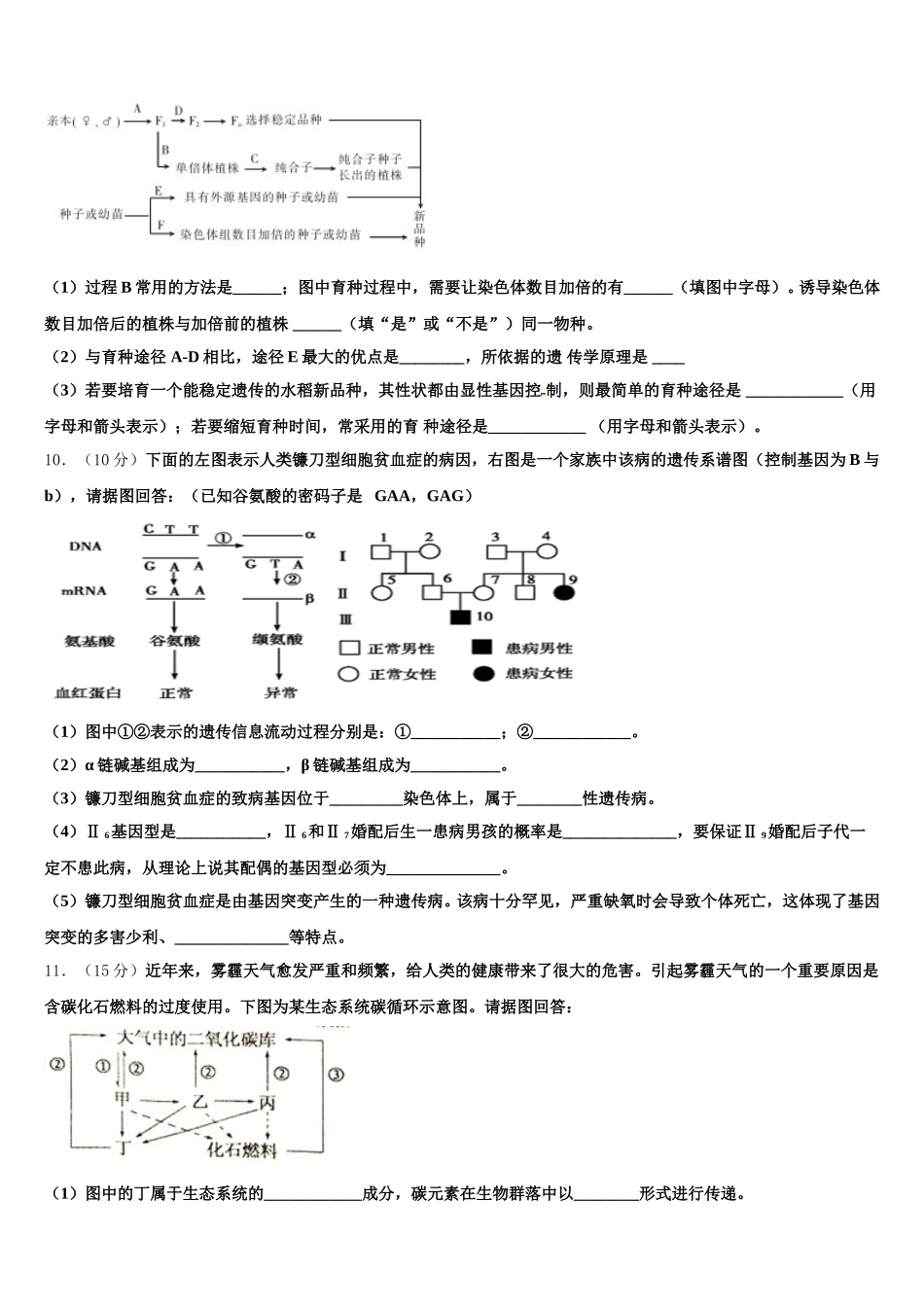 2025年河南省洛阳市第一中学高一下生物期末监测试题含解析_第3页