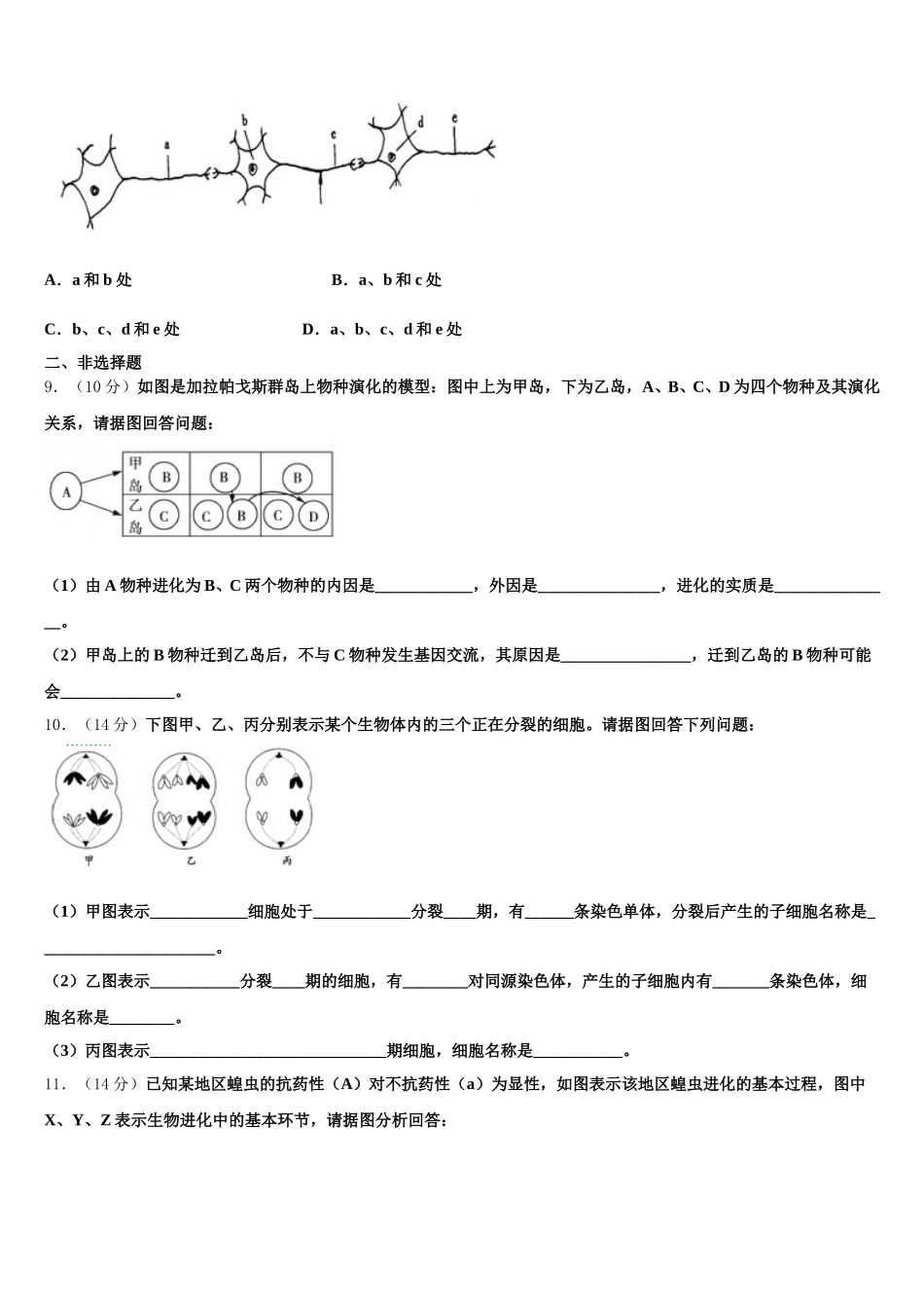 河南省淮阳县第一高级中学2025年高一生物第二学期期末调研试题含解析_第3页