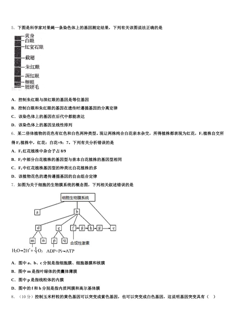 河南省漯河市五中2025届生物高一下期末达标检测模拟试题含解析_第2页