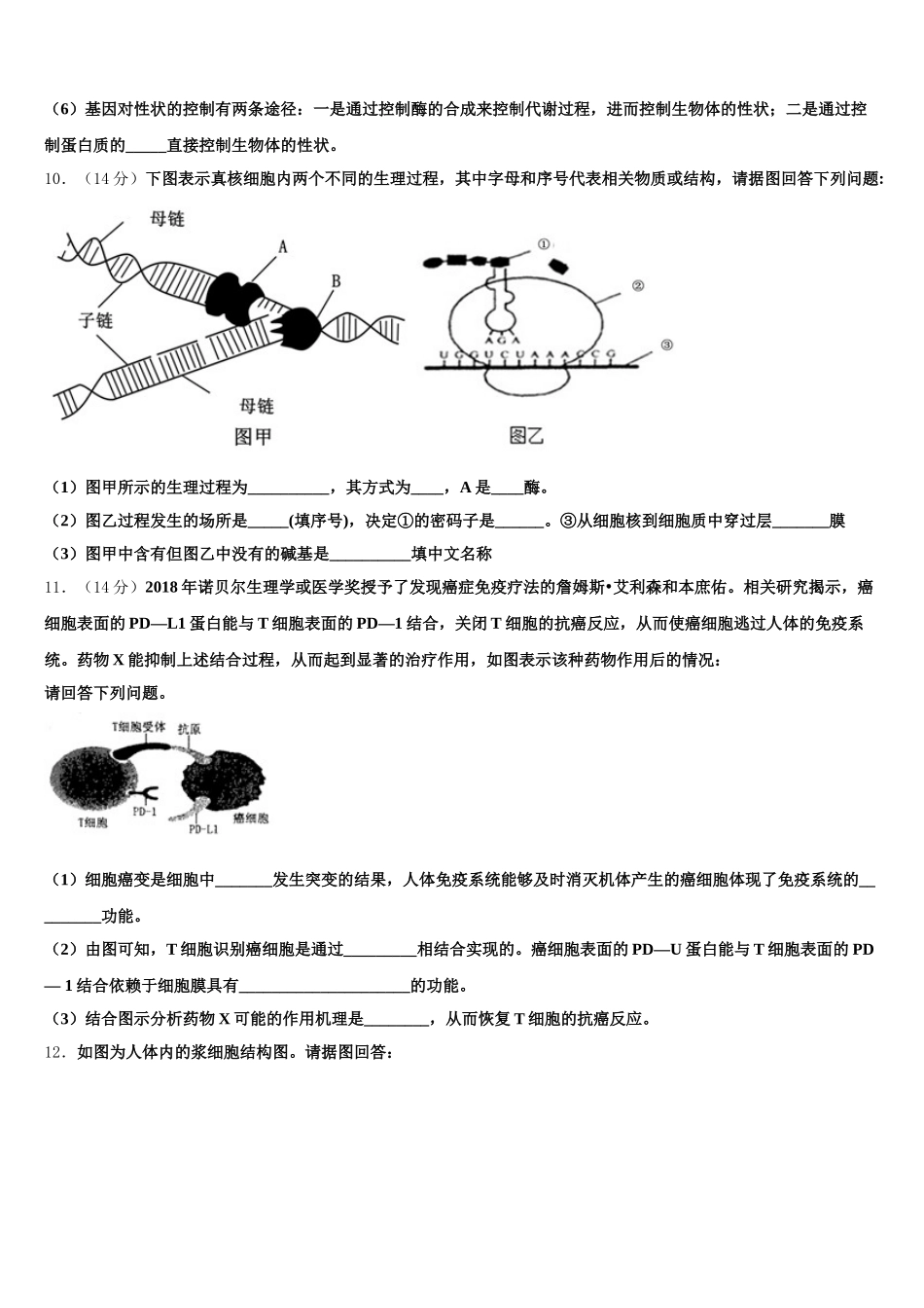 2024-2025学年河南省郑州高新技术产业开发区第一中学高一下生物期末学业质量监测试题含解析_第3页