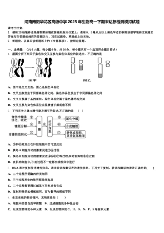 河南南阳华龙区高级中学2025年生物高一下期末达标检测模拟试题含解析