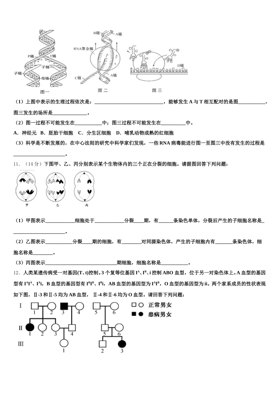 河南省郑州市金水区实验中学2024-2025学年生物高一下期末达标检测模拟试题含解析_第3页