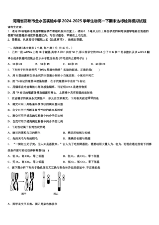 河南省郑州市金水区实验中学2024-2025学年生物高一下期末达标检测模拟试题含解析