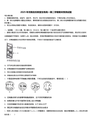 2025年河南名校联盟生物高一第二学期期末预测试题含解析