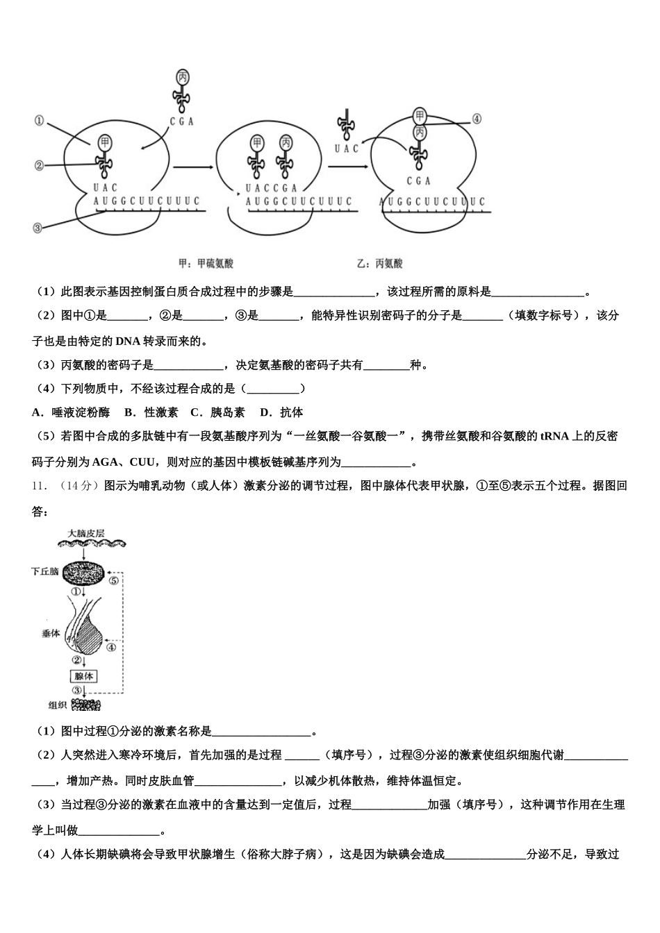 河南省洛阳名校2025届生物高一下期末学业水平测试试题含解析_第3页