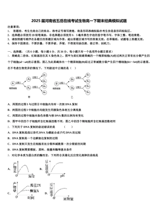 2025届河南省五岳在线考试生物高一下期末经典模拟试题含解析