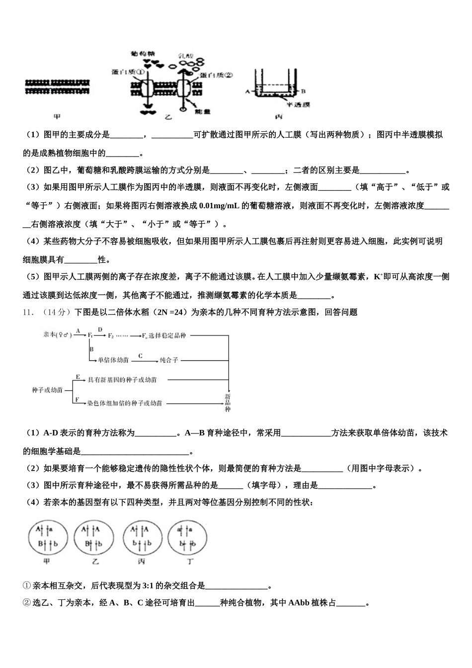 2025届南阳六校生物高一第二学期期末综合测试试题含解析_第3页
