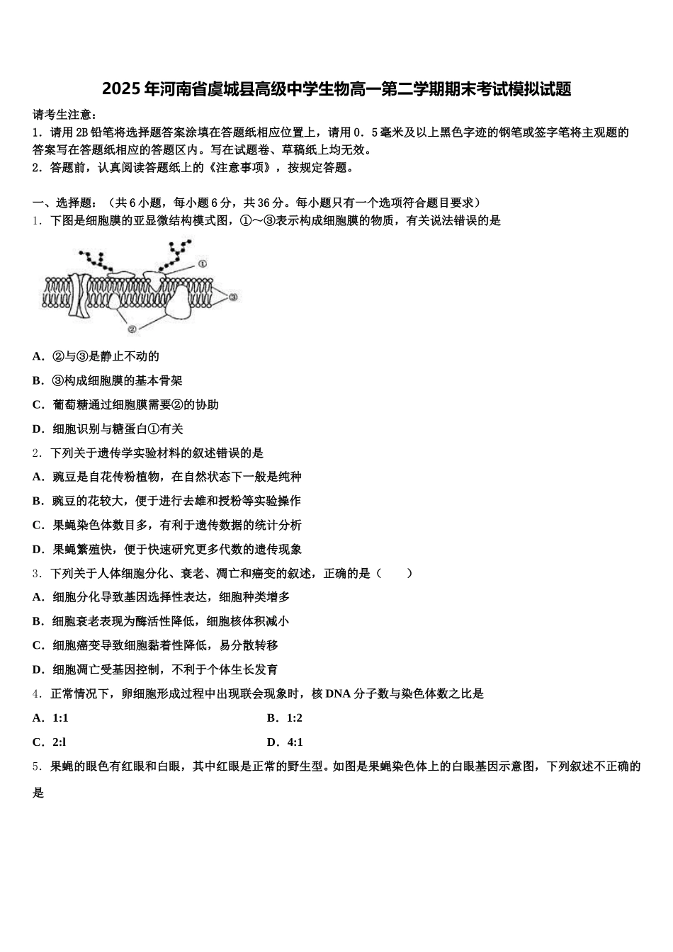 2025年河南省虞城县高级中学生物高一第二学期期末考试模拟试题含解析_第1页