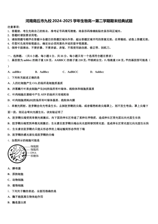 河南商丘市九校2024-2025学年生物高一第二学期期末经典试题含解析
