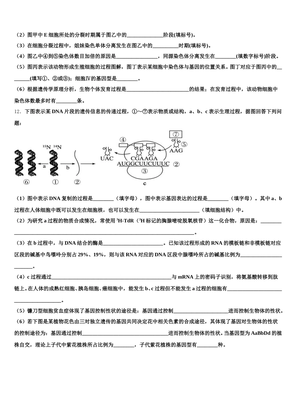 2025年河南省商丘市九校高一下生物期末调研模拟试题含解析_第3页
