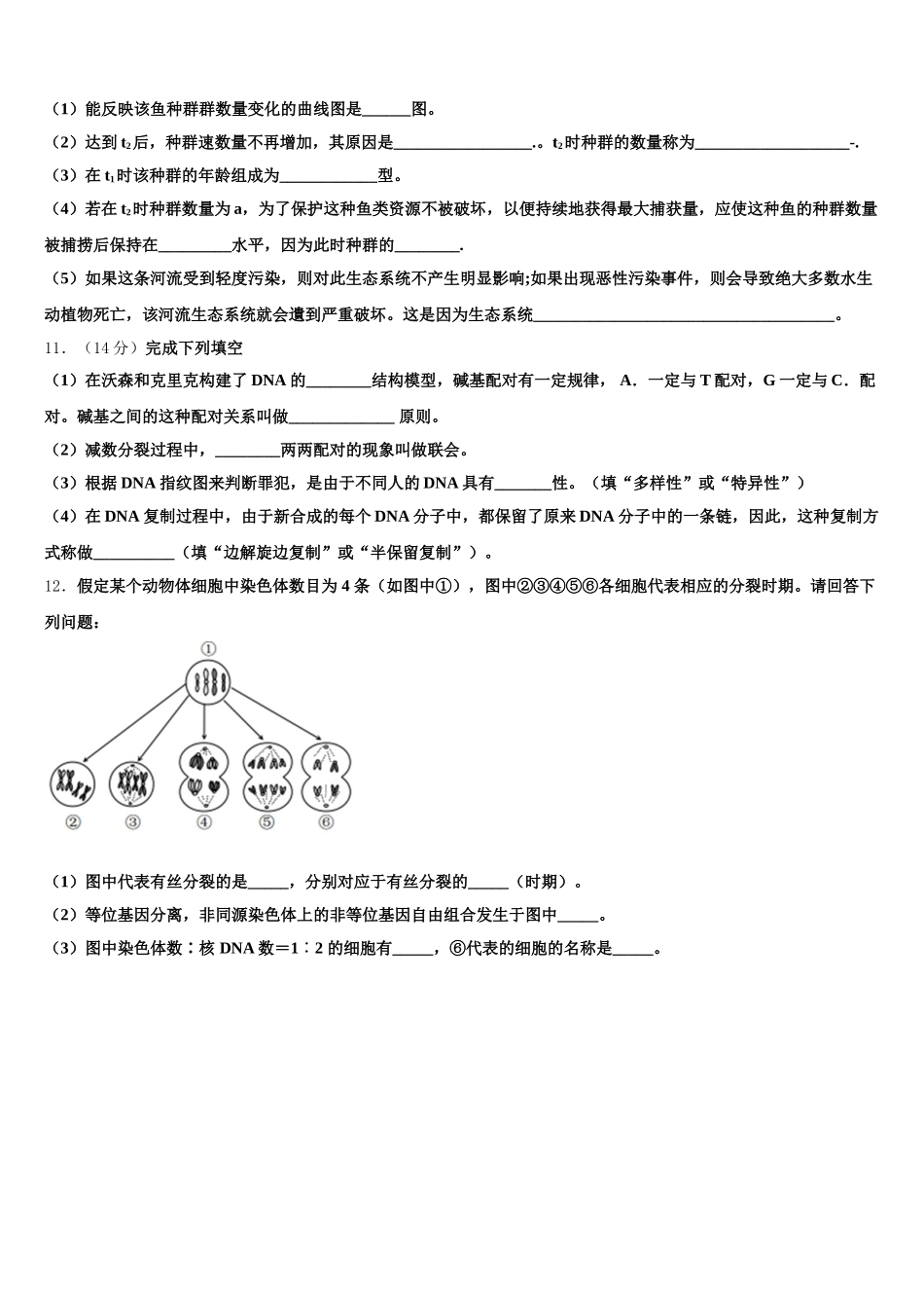 2024-2025学年河南省洛阳市名校生物高一下期末考试试题含解析_第3页