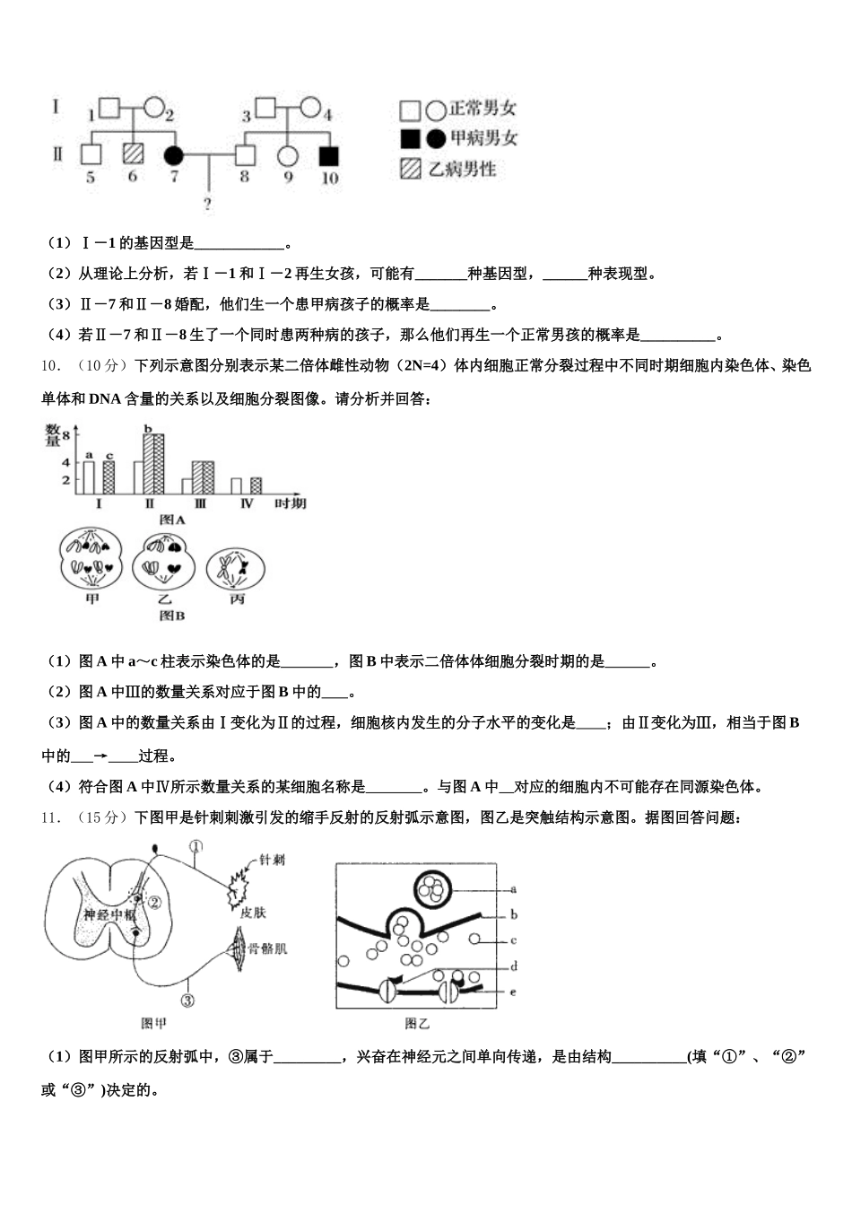 河南省登封市嵩阳高级中学2025届高一生物第二学期期末教学质量检测模拟试题含解析_第3页
