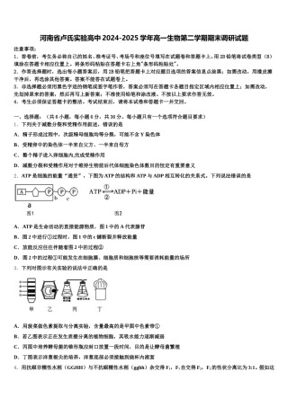 河南省卢氏实验高中2024-2025学年高一生物第二学期期末调研试题含解析
