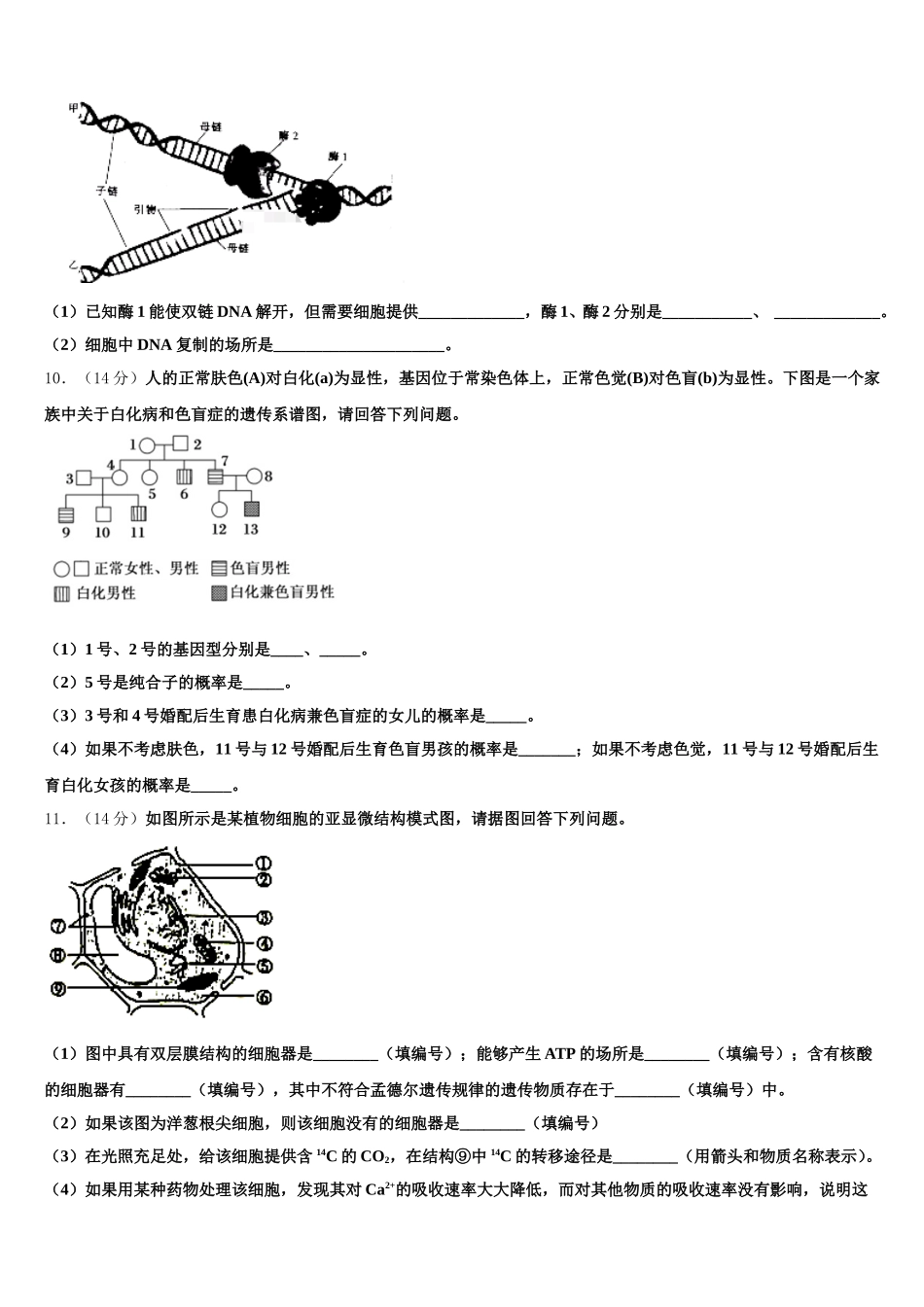 河南省息县第一高级中学2025届高一生物第二学期期末经典模拟试题含解析_第3页