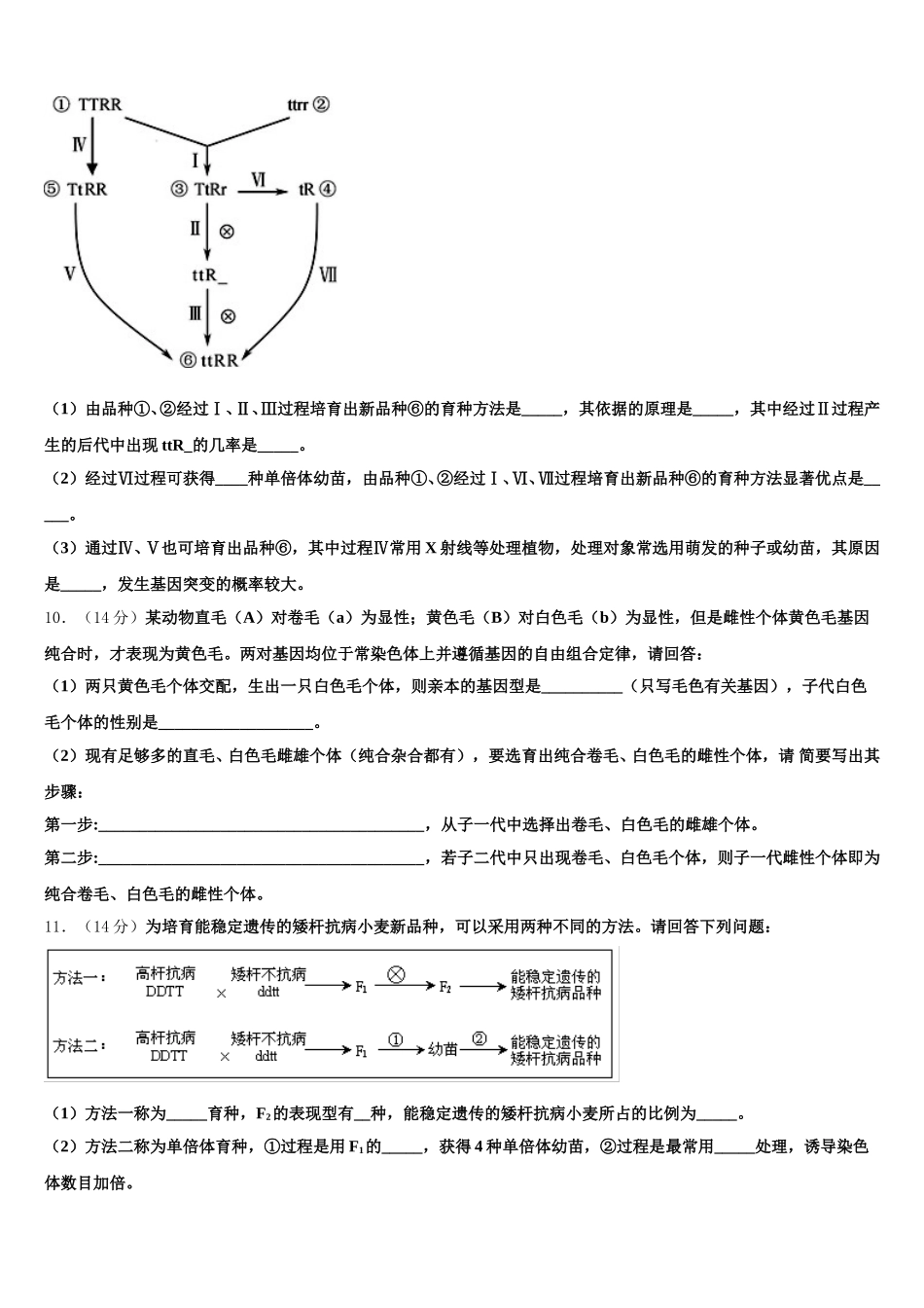 2025年河南省济源市高一下生物期末学业水平测试模拟试题含解析_第3页