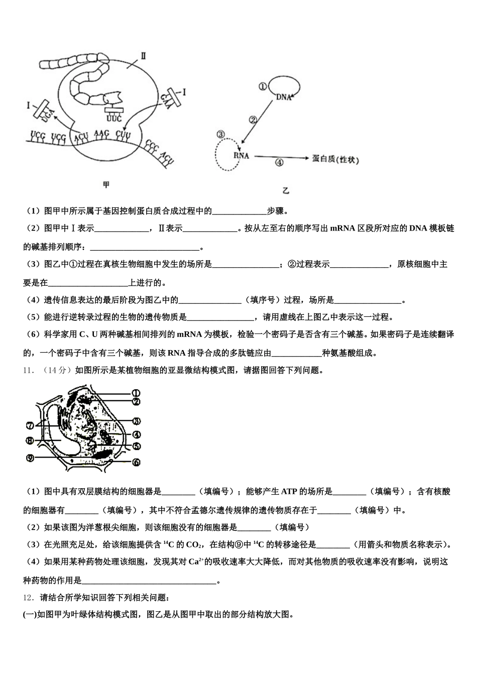 2025年河南省鹤壁市浚县二中高一生物第二学期期末教学质量检测试题含解析_第3页