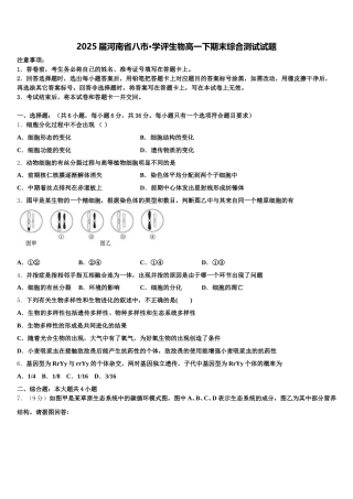 2025届河南省八市·学评生物高一下期末综合测试试题含解析