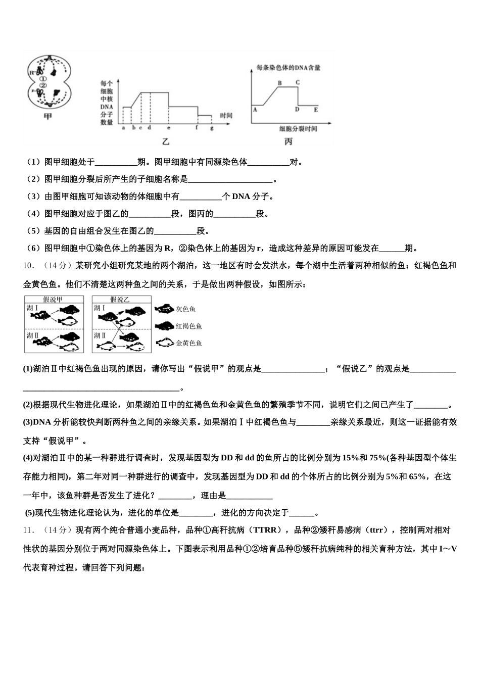 2025年河南省天一大联考高一生物第二学期期末调研试题含解析_第3页