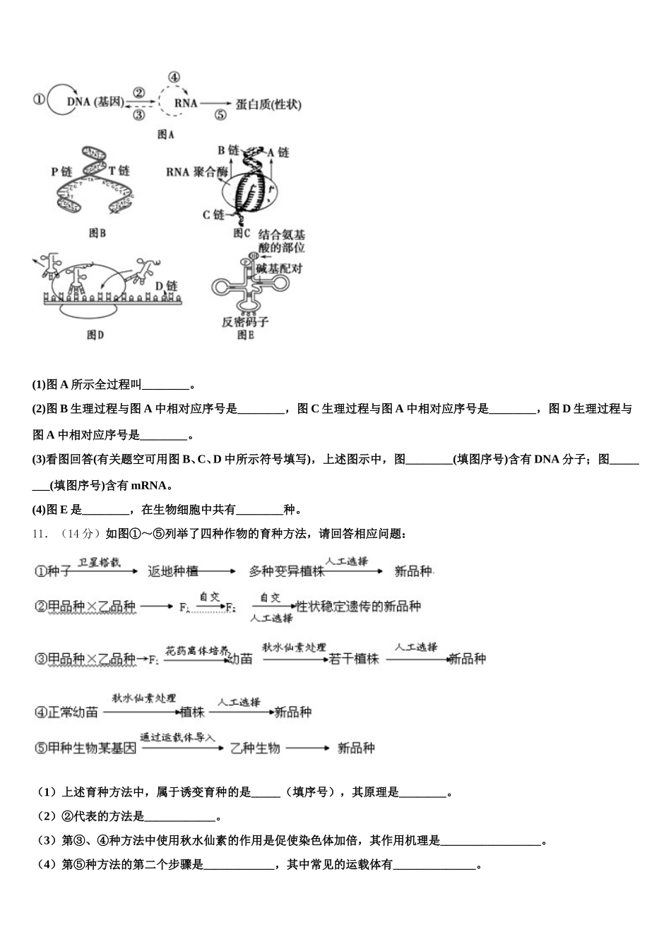 2025届周口市重点中学生物高一第二学期期末统考模拟试题含解析_第3页