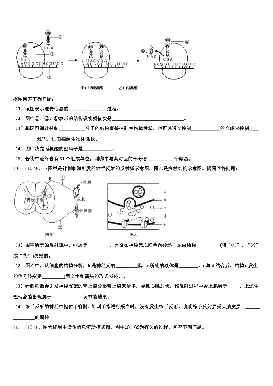 2025年河南省周口市中英文学校生物高一下期末质量检测试题含解析_第3页