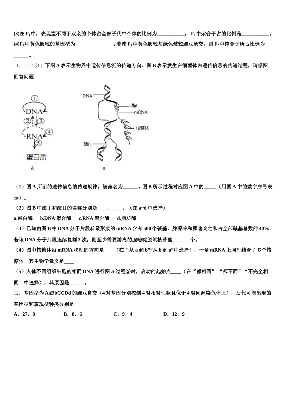 2025届河南省鲁山县第一高级中学生物高一第二学期期末学业水平测试模拟试题含解析_第3页
